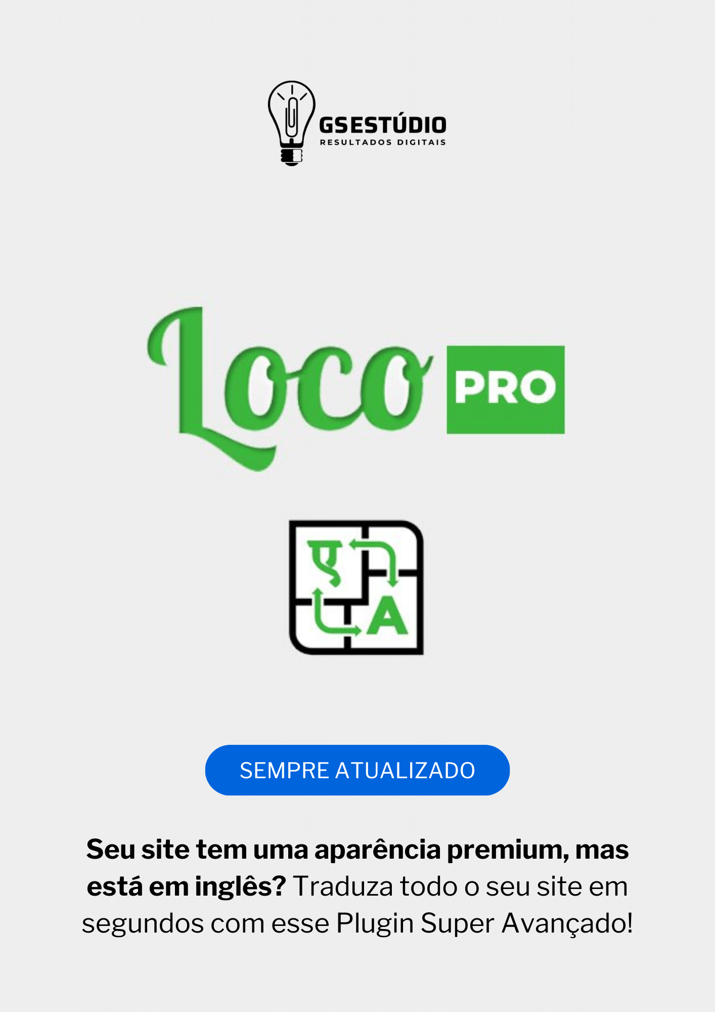 Loco Translate Pro